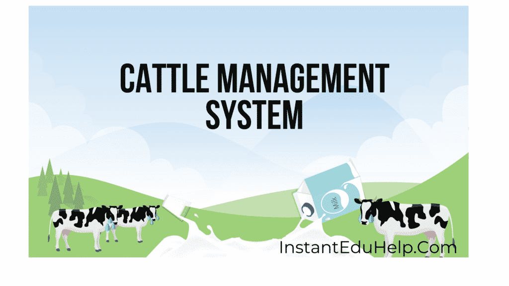 cCattle management system
